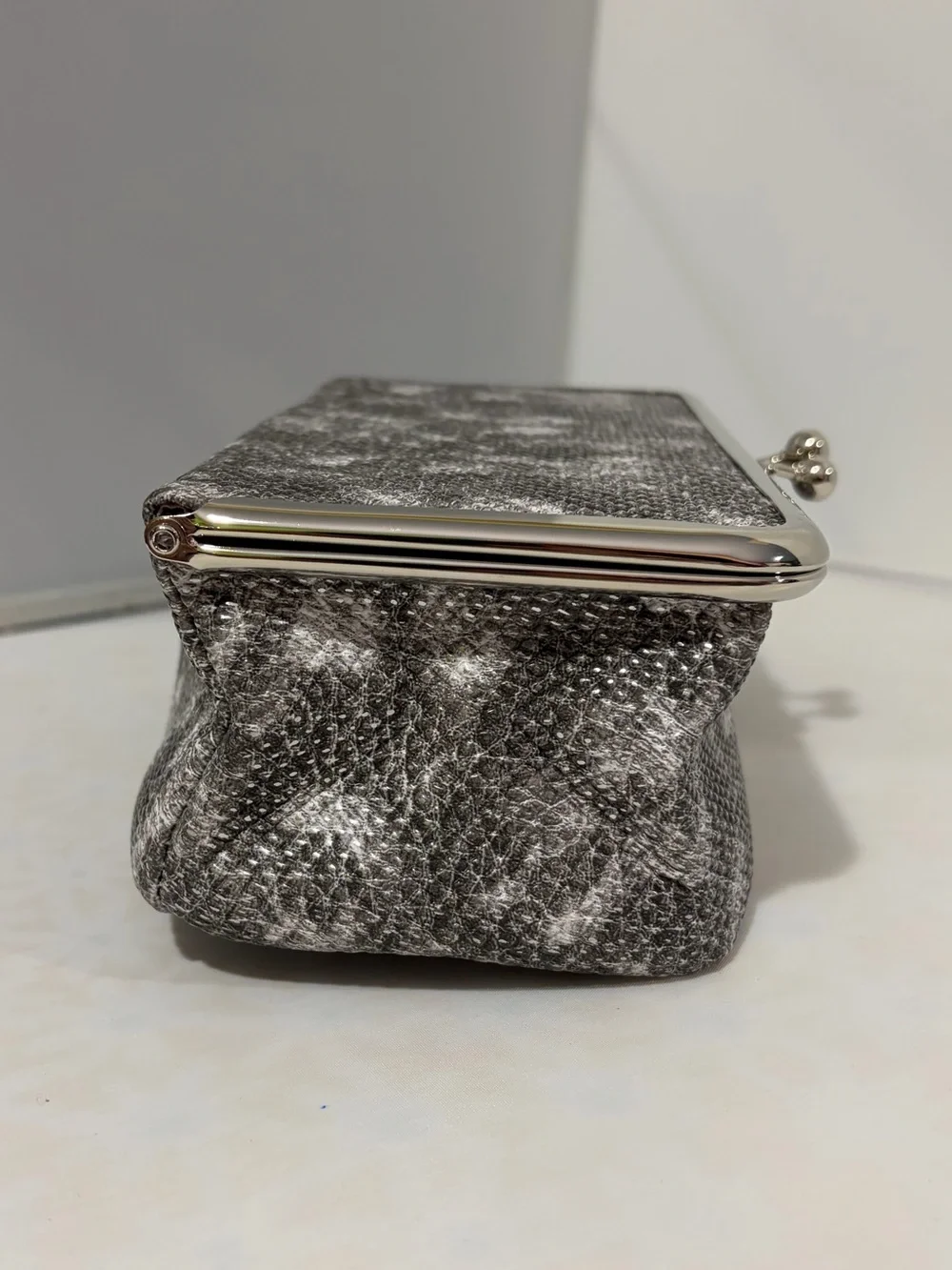 Elegant Gray Faux Snakeskin Cosmetic Case with Silver Frame